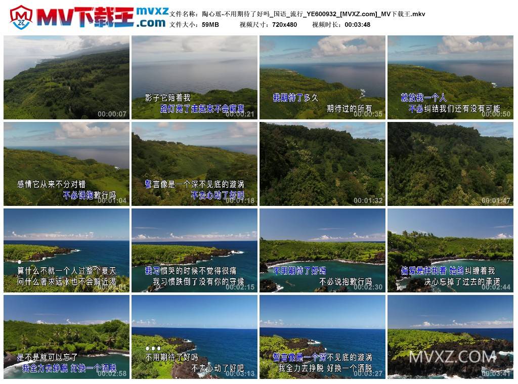 陶心瑶-不用期待了好吗_国语_流行_YE600932